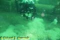 Chemainus Video